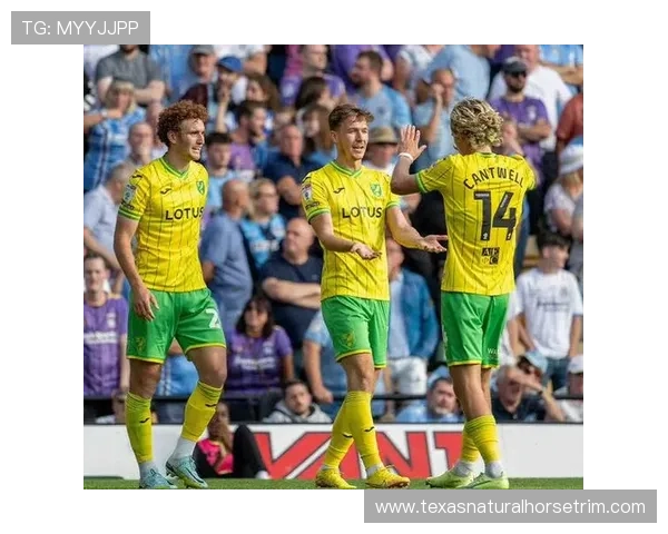 英超联赛各队排名对应奖金分配机制及收益差距全解析