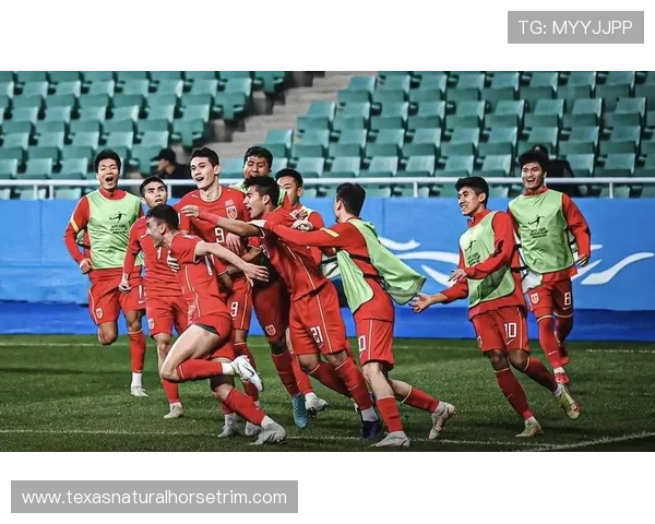 2025年世界杯预选赛战况激烈 中国队迎战强敌全力冲击亚洲区名额